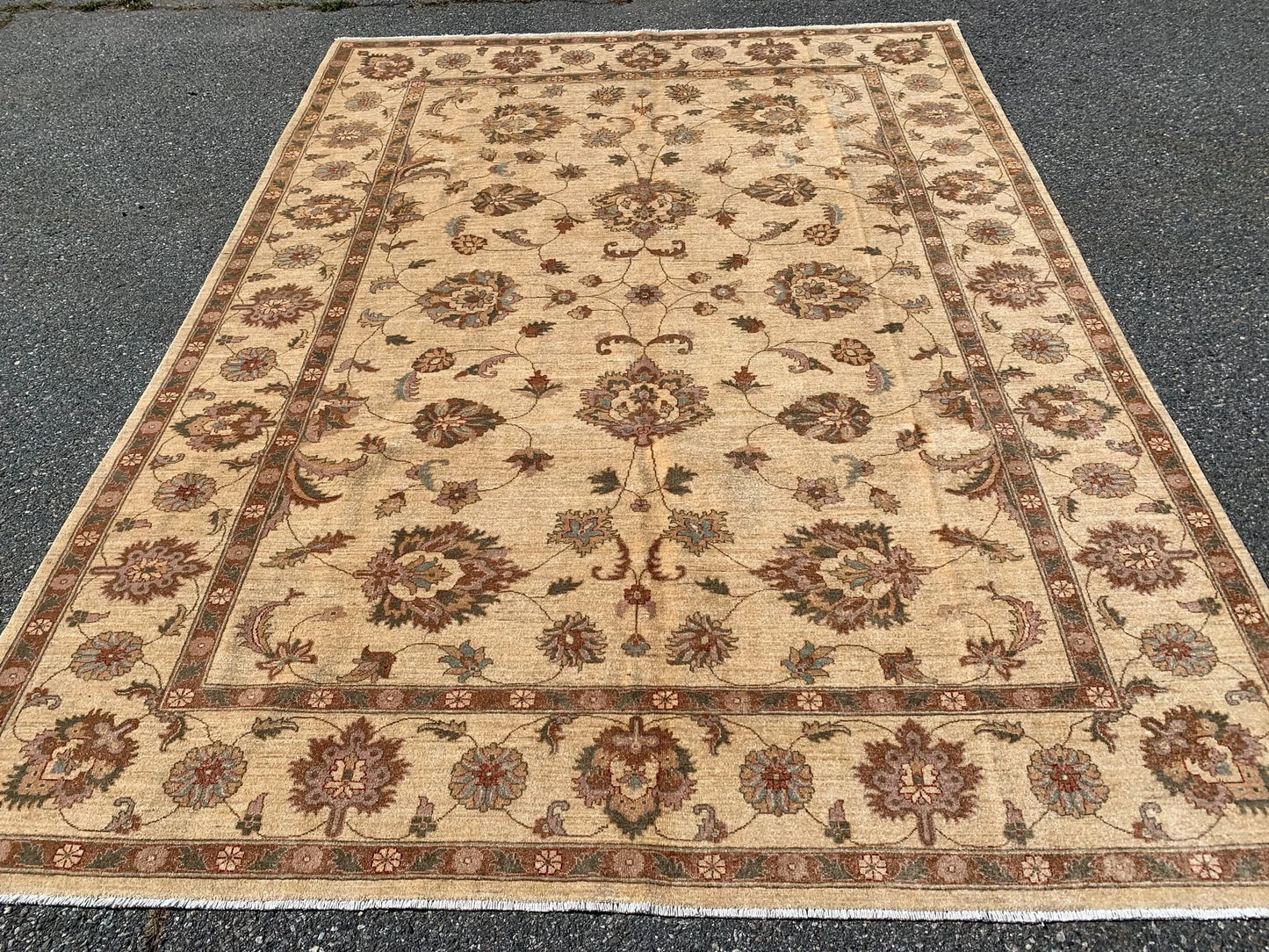 Ivory/Gold 8X11 Ziegler Handmade Wool Rug # 7975