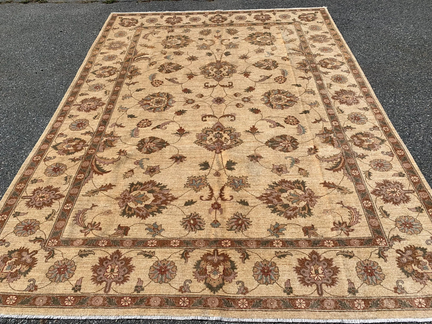 Ivory/Gold 8X11 Ziegler Handmade Wool Rug # 7975