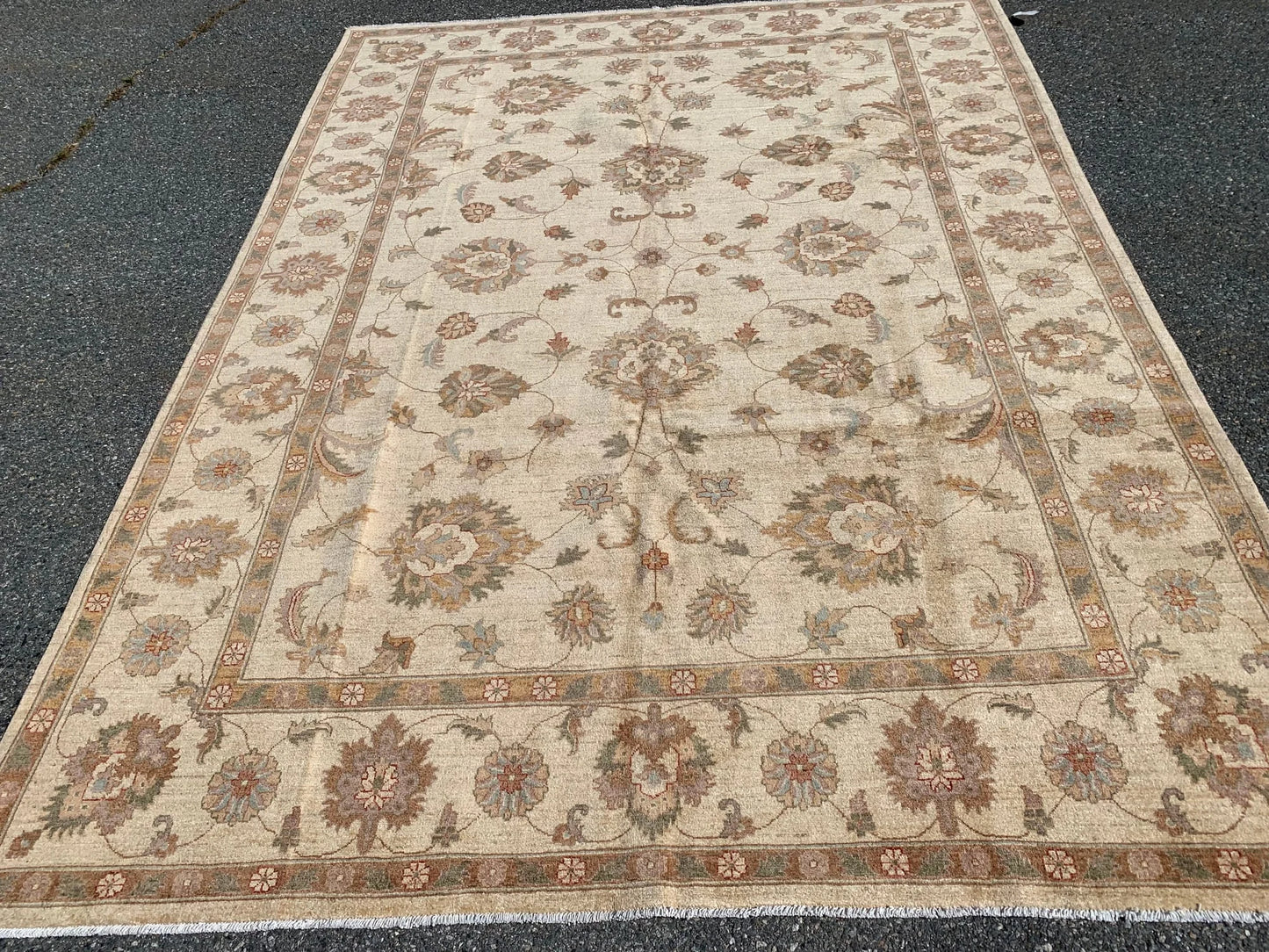 Ivory/Gold 8X11 Ziegler Handmade Wool Rug # 7975