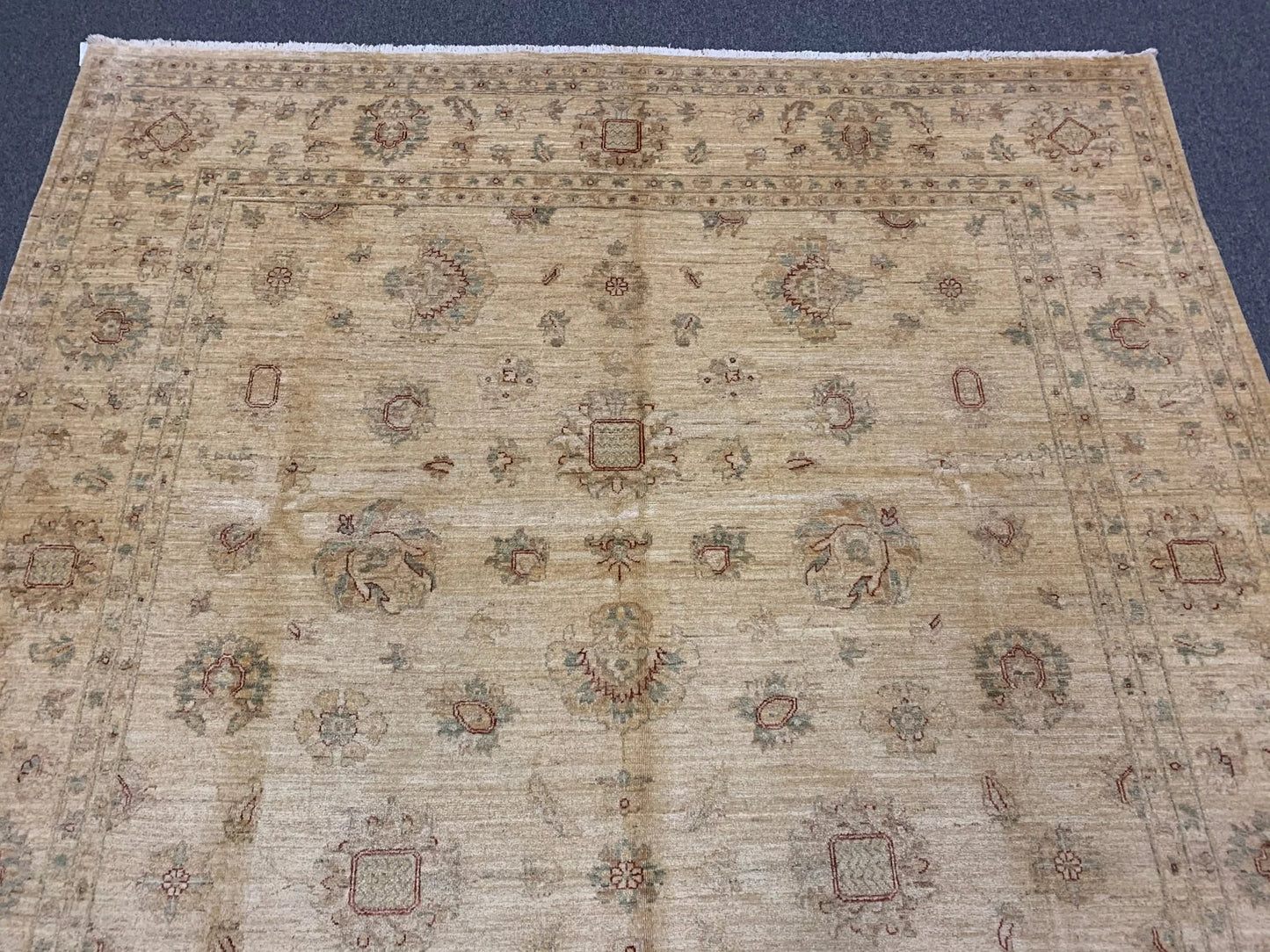 Ivory Ziegler 8X12 Handmade Wool Rug # 8887